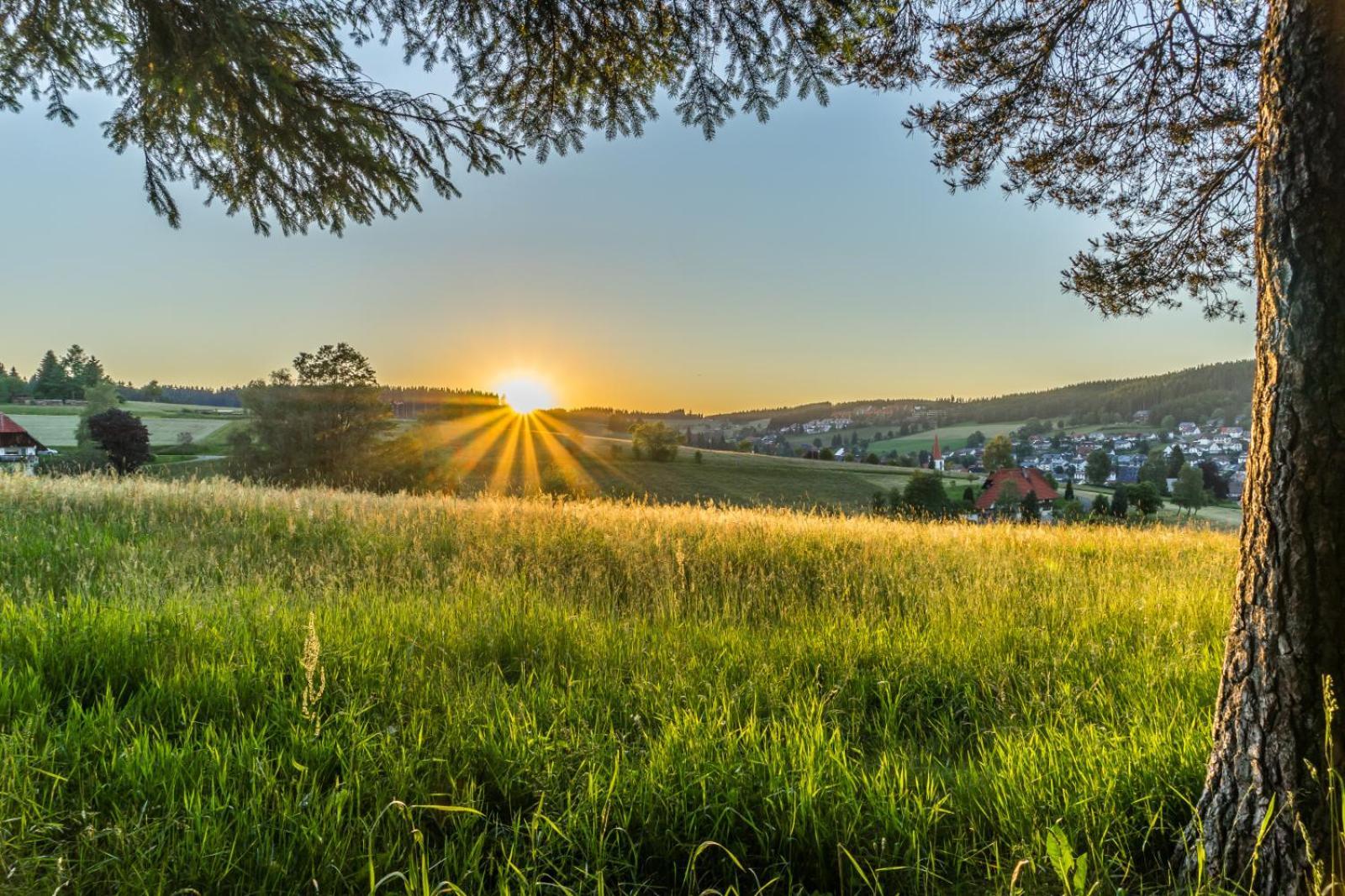 Landhaus Panoramablick Schonach im Schwarzwald Luaran gambar